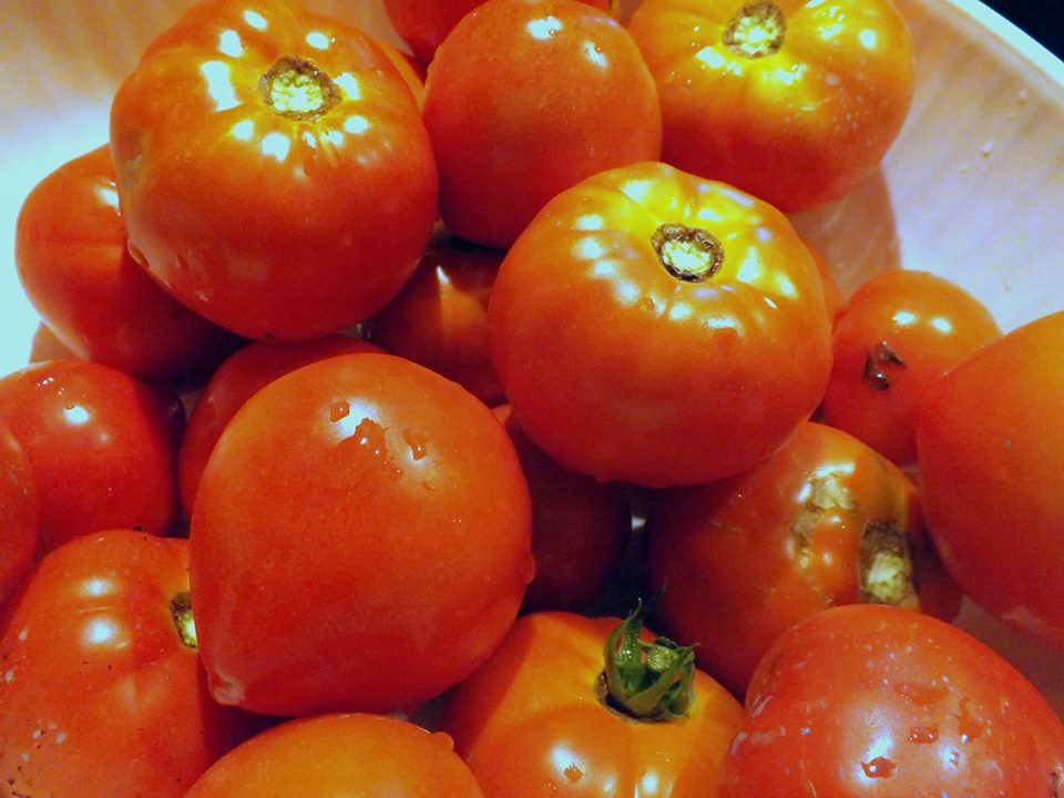 pomodori